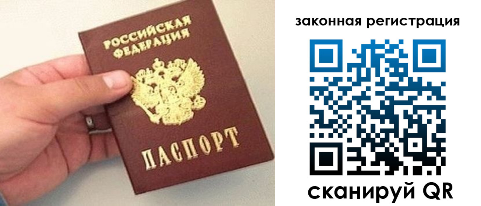 прописка для школы в Павловске